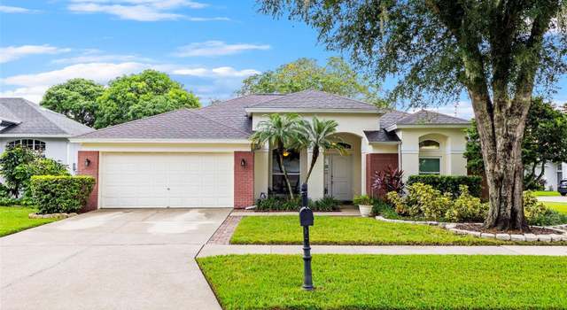 Photo of 12801 Big Sur Dr, Tampa, FL 33625