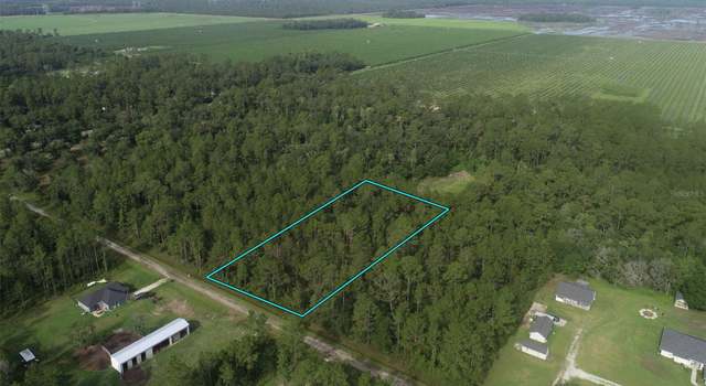 Photo of 10325 Gregory Ave, Hastings, FL 32145