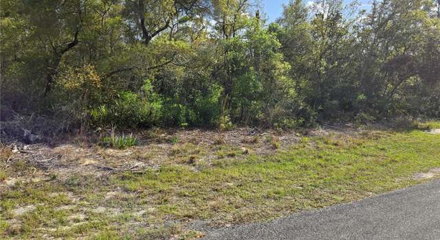 Photo of CR 245c, Oxford, FL 34484