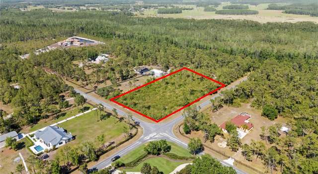 Photo of 13227 Lacebark Pine Rd, Orlando, FL 32832