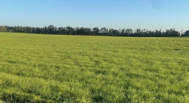 Photo of LOT 2 NW 72 Pl, Bell, FL 32619