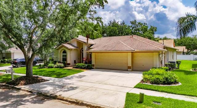 Photo of 17711 Hampshire Oak Dr, Tampa, FL 33647