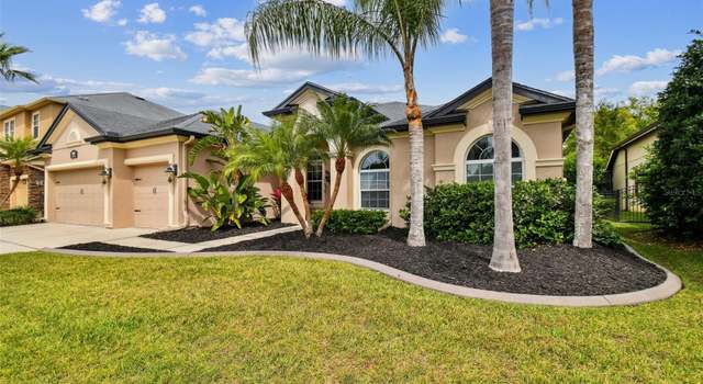 Photo of 15135 Azra Dr, Odessa, FL 33556