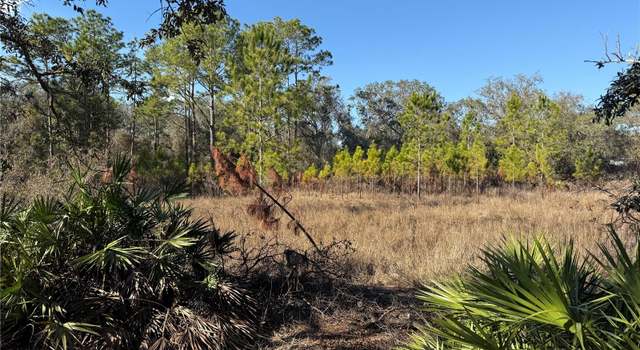 Photo of Tbd Tworut Rd, Webster, FL 33597
