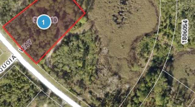 Photo of Royal Trails Rd, Eustis, FL 32736