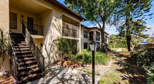 Photo of 3389 Crystal Ct E Unit M, Palm Harbor, FL 34685