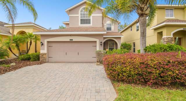 Photo of 16011 Bella Woods Dr, Tampa, FL 33647