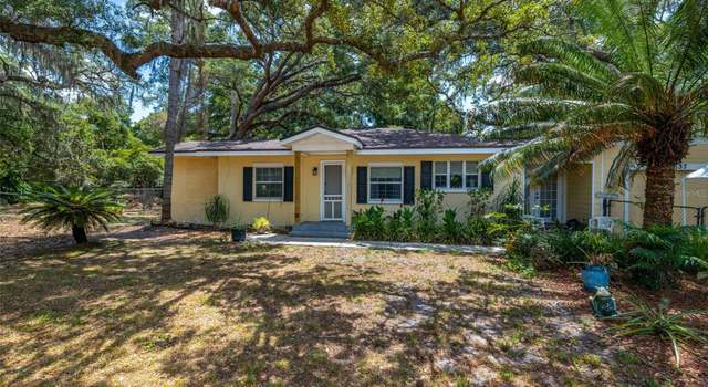 Photo of 16637 Livingston Ave, Lutz, FL 33559