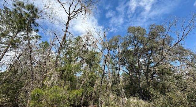 Photo of TBD SE 158th Ln, Dunnellon, FL 34432