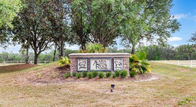 Photo of 117 Alafia Estates Ln, Plant City, FL 33567