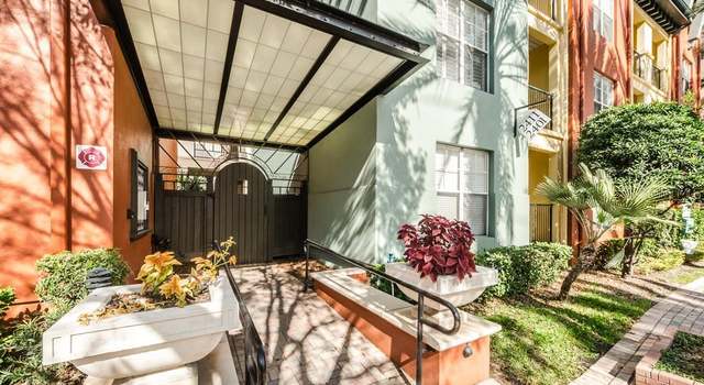 Photo of 504 S Armenia Ave #1338, Tampa, FL 33609