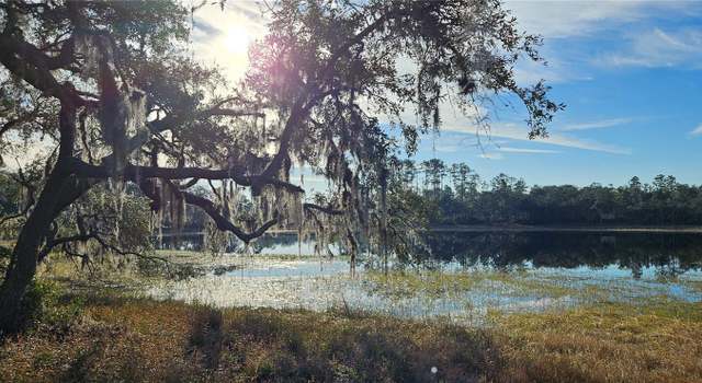 Photo of Lot 1 - 10.05ac E Hwy 318, Citra, FL 32113