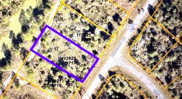Photo of Blueleaf Dr, North Port, FL 34288