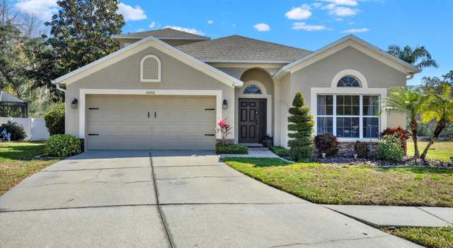 Photo of 10910 May Apple Ct, Land O Lakes, FL 34638