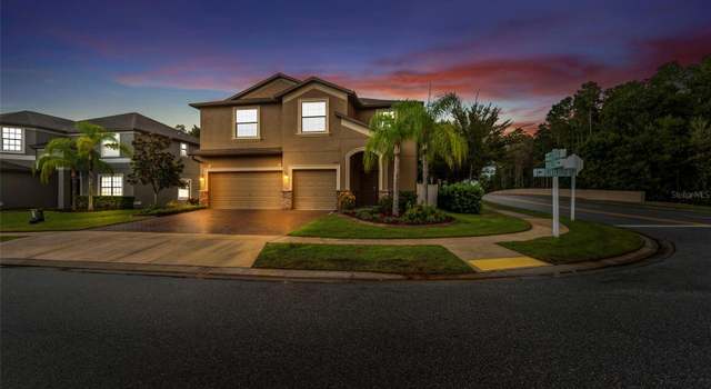 Photo of 12447 Crestridge Loop, New Port Richey, FL 34655
