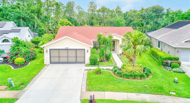 Photo of 6250 Fairskies Dr, New Port Richey, FL 34655
