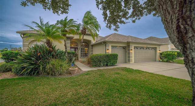 Photo of 1708 African Violet Ct, Trinity, FL 34655