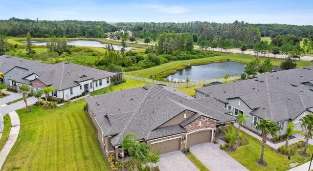 Photo of 19370 Hawk Valley Dr, Tampa, FL 33647