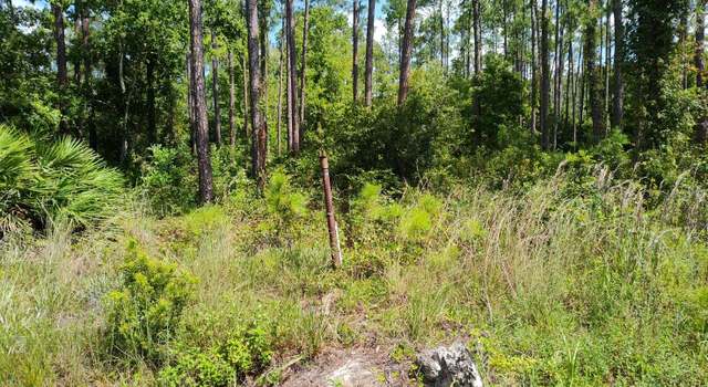 Photo of 3734 Clove Ave, Bunnell, FL 32110