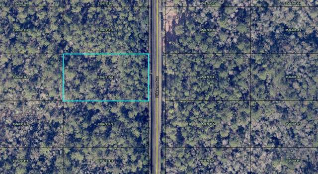 Photo of 10535 Flikkema Ave, Hastings, FL 32145