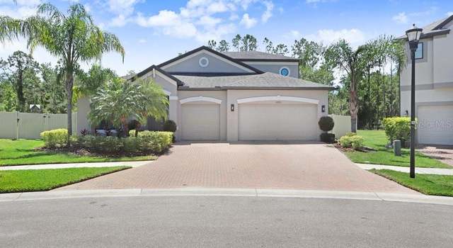 Photo of 10703 Morning Dew Way, Tampa, FL 33647