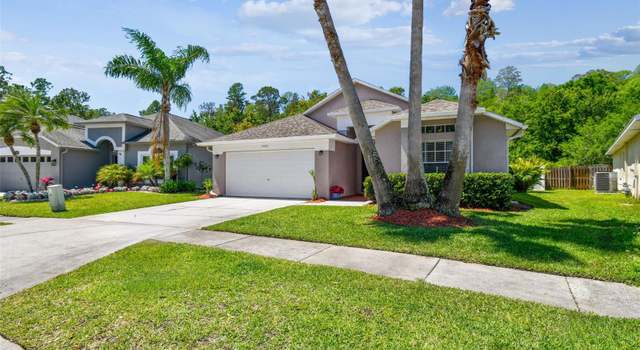 Photo of 14532 Weeping Elm Dr, Tampa, FL 33626