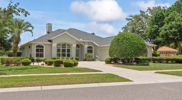 Photo of 4351 Mallard Lake Dr, Spring Hill, FL 34609