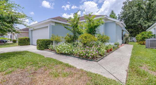Photo of 26343 Whirlaway Ter, Wesley Chapel, FL 33544