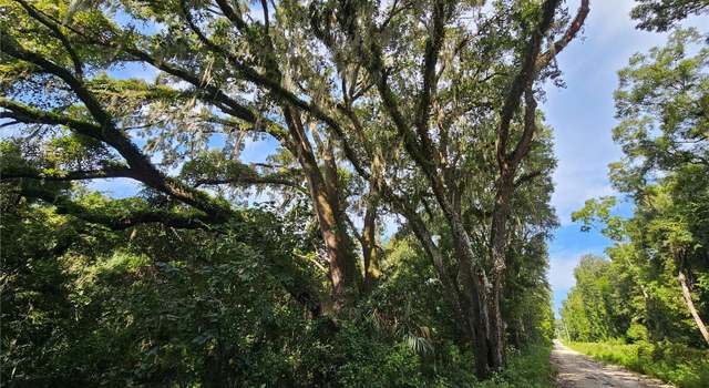Photo of 18750 NE 77th Pl, Williston, FL 32696