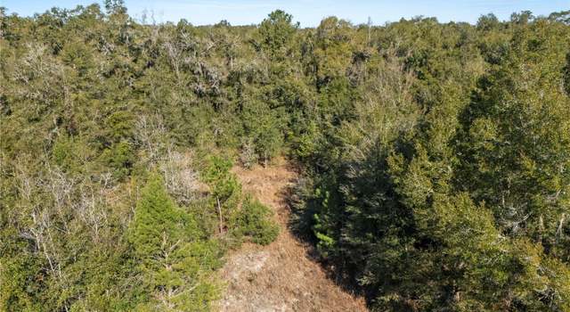 Photo of 0 NW 29th Ter, Reddick, FL 32686