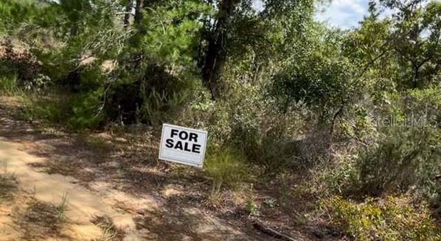 Photo of lot 25 Birch Ave, Interlachen, FL 32148
