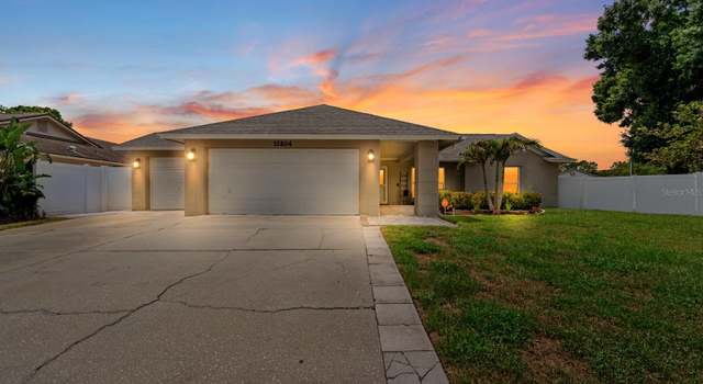 Photo of 12804 Bert Pl, Tampa, FL 33625