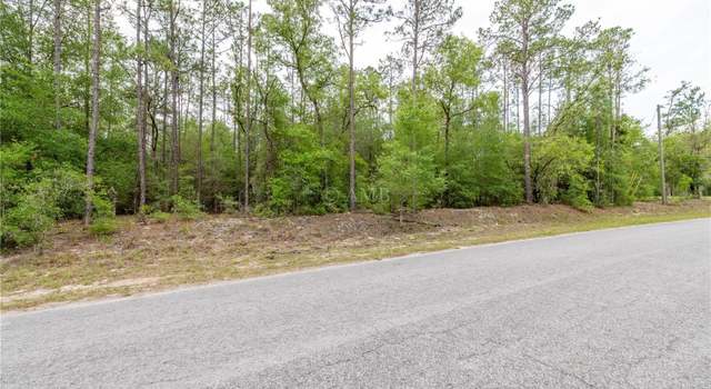 Photo of SW 205th Cir, Dunnellon, FL 34431