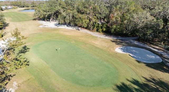 Photo of 18127 Sandy Pointe Dr, Tampa, FL 33647