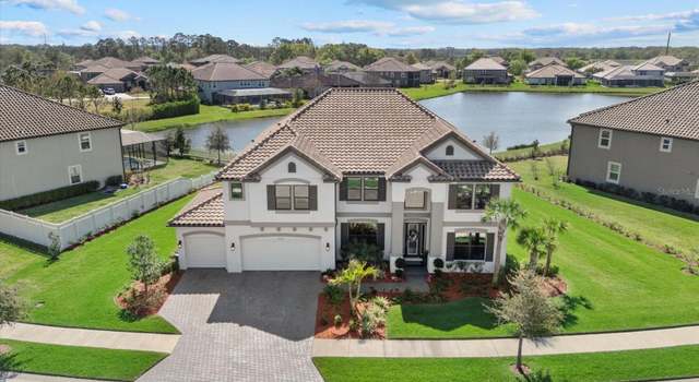Photo of 33105 Kateland Dr, Wesley Chapel, FL 33545