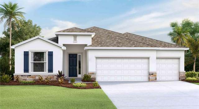 Photo of 10652 Bridgegate Heights Loop, San Antonio, FL 33576