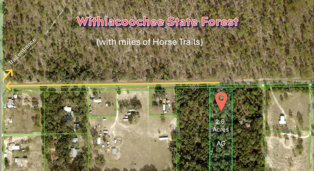 Photo of 0 Wildlife Ln, Brooksville, FL 34602