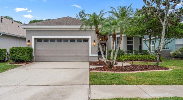 Photo of 9410 Greenpointe Dr, Tampa, FL 33626