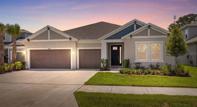 Photo of 33466 Landsman Loop, Wesley Chapel, FL 33543