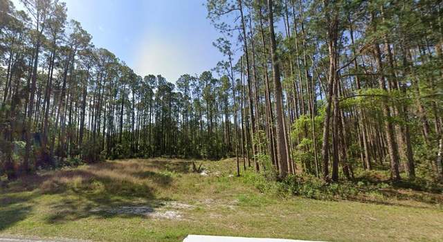 Photo of 243 & 245 Georgetown Denver Rd, Georgetown, FL 32139