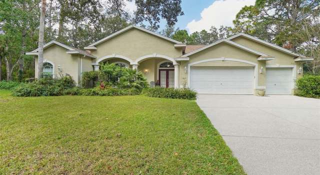 Photo of 13757 Powder Keg Ct, Hudson, FL 34667