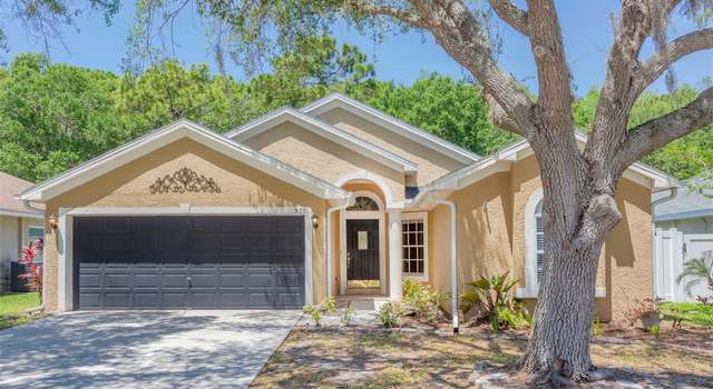 Photo of 329 Tavernier Dr, Oldsmar, FL 34677