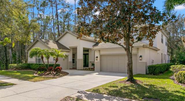 Photo of 14841 Tudor Chase Dr, Tampa, FL 33626