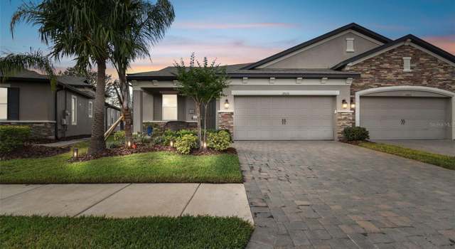 Photo of 19315 Hawk Valley Dr, Tampa, FL 33647