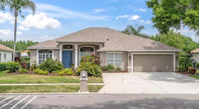 Photo of 18714 Chemille Dr, Lutz, FL 33558