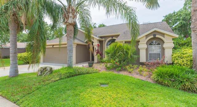 Photo of 9112 Calle Alta, New Port Richey, FL 34655