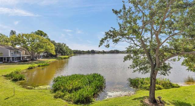Photo of 8719 Lake Place Ln, Tampa, FL 33634