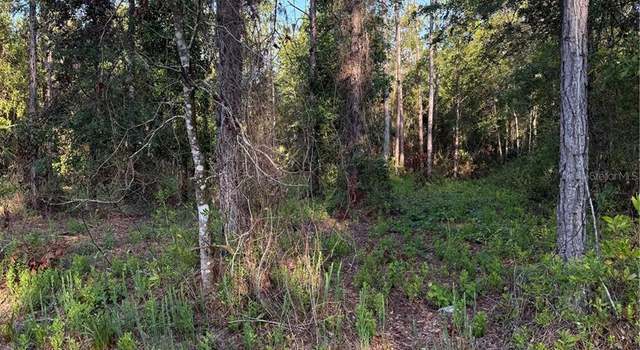 Photo of 2366 Dogwood St, Bunnell, FL 32110