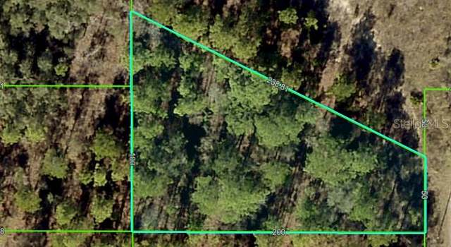Photo of 15241 Barron Ct, Brooksville, FL 34614