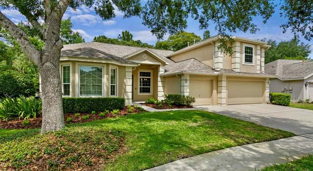 Photo of 19207 Autumn Woods Ave, Tampa, FL 33647